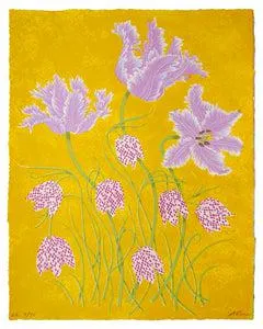 Tulips & Fritillaries