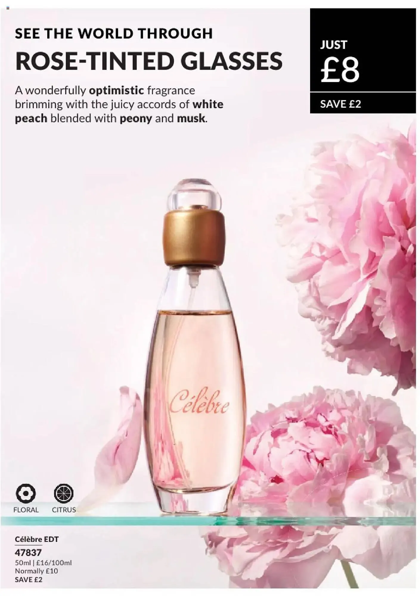 Avon leaflet from 1 February to 28 February 2025 - Catalogue Page 72