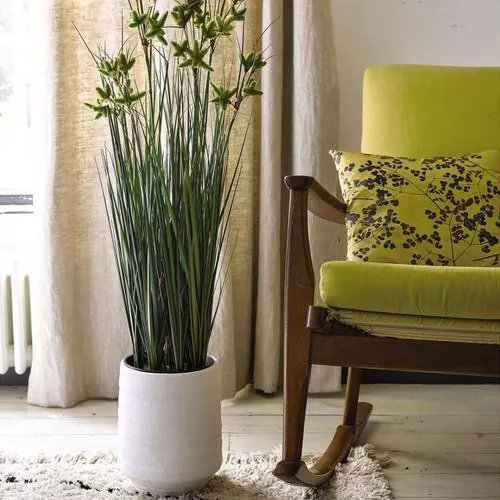 3ft Ornamental Grass in Medium Terracotta Vase