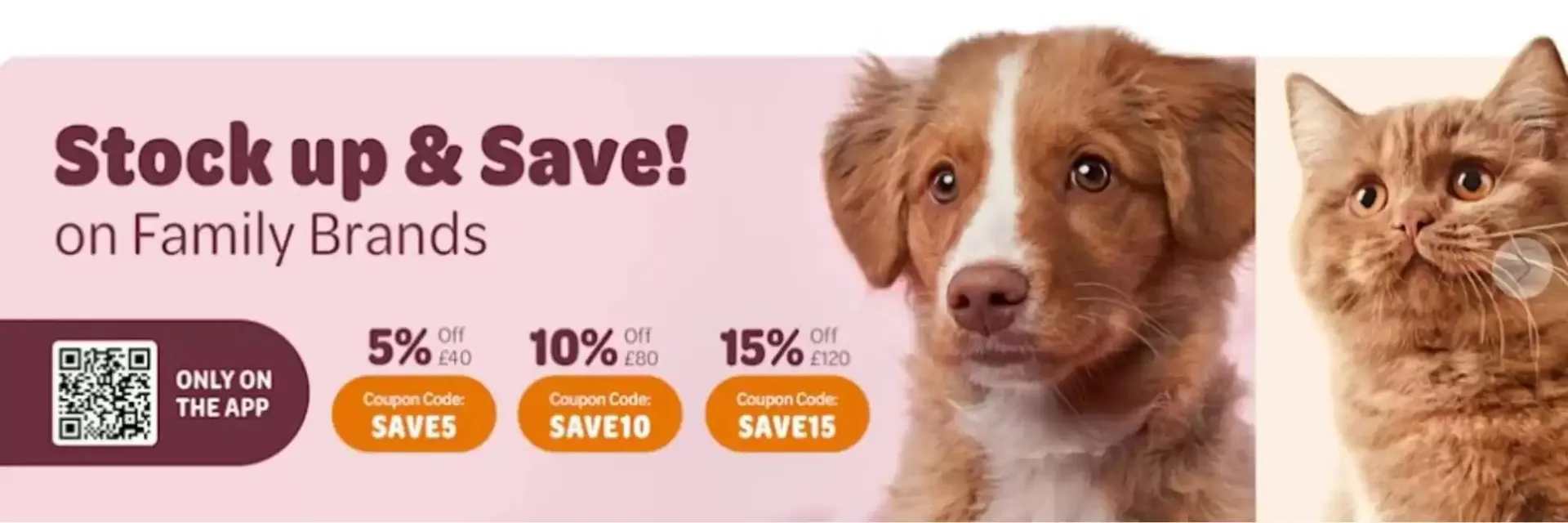 Special Offers from 11 March to 25 March 2025 - Catalogue Page 1