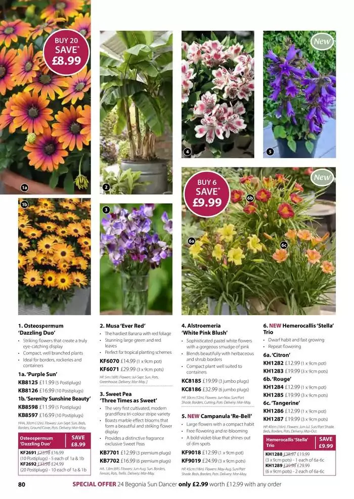 The Spring Catalogue from 20 March to 31 May 2025 - Catalogue Page 80