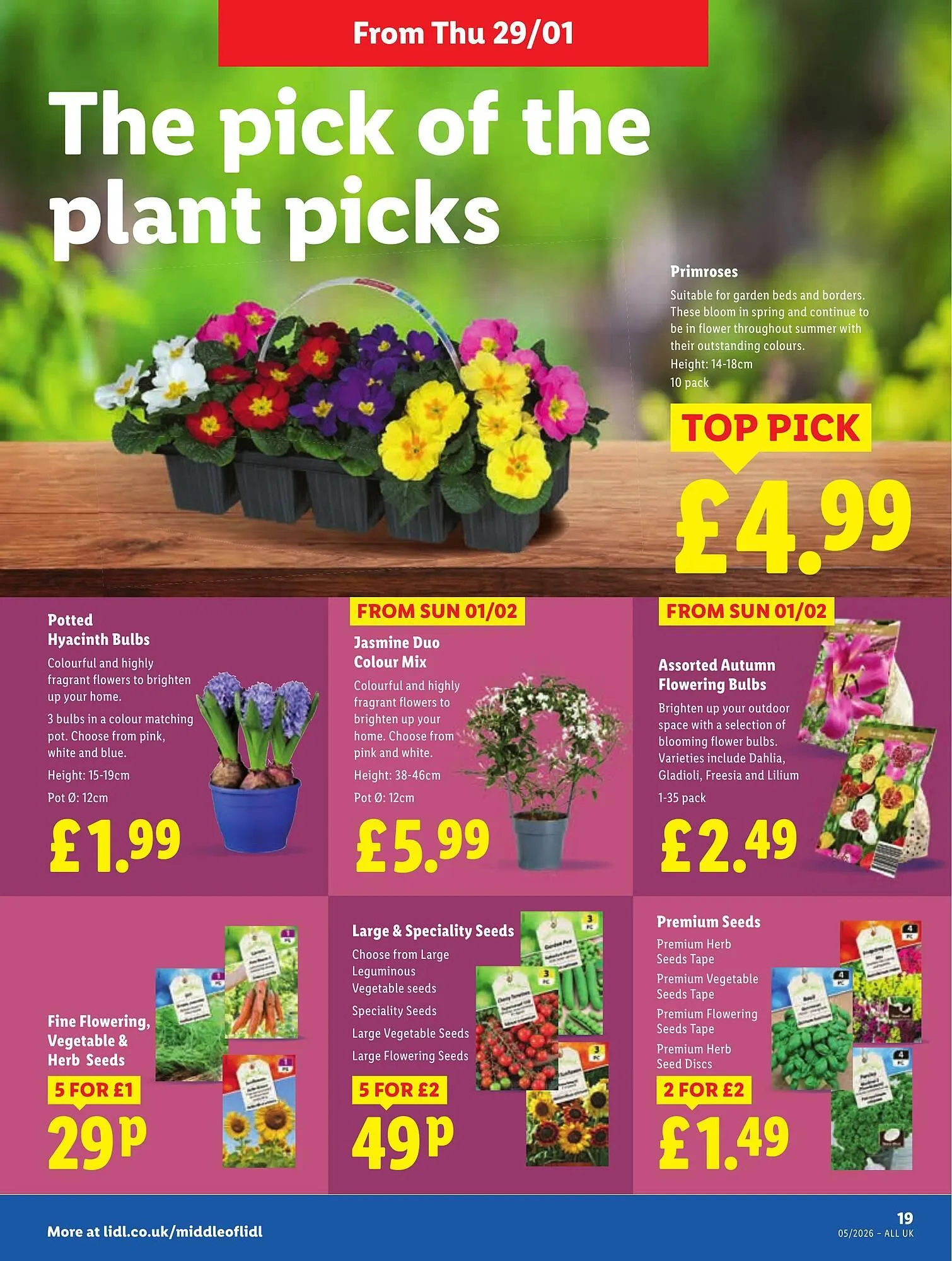 Lidl leaflet from 29 January to 4 February 2026 - Catalogue Page 19
