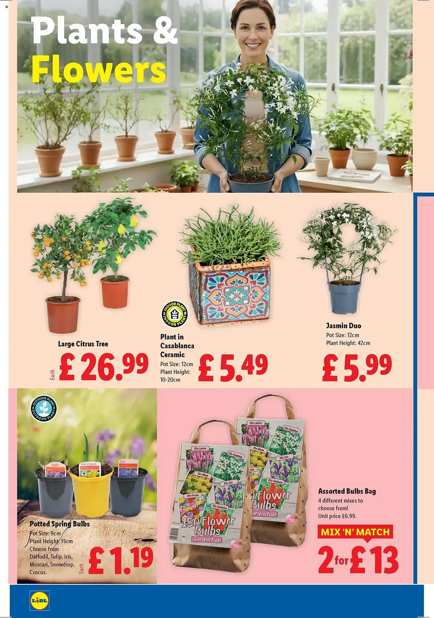 Lidl leaflet from 5 February to 12 February 2026 - Catalogue Page 21
