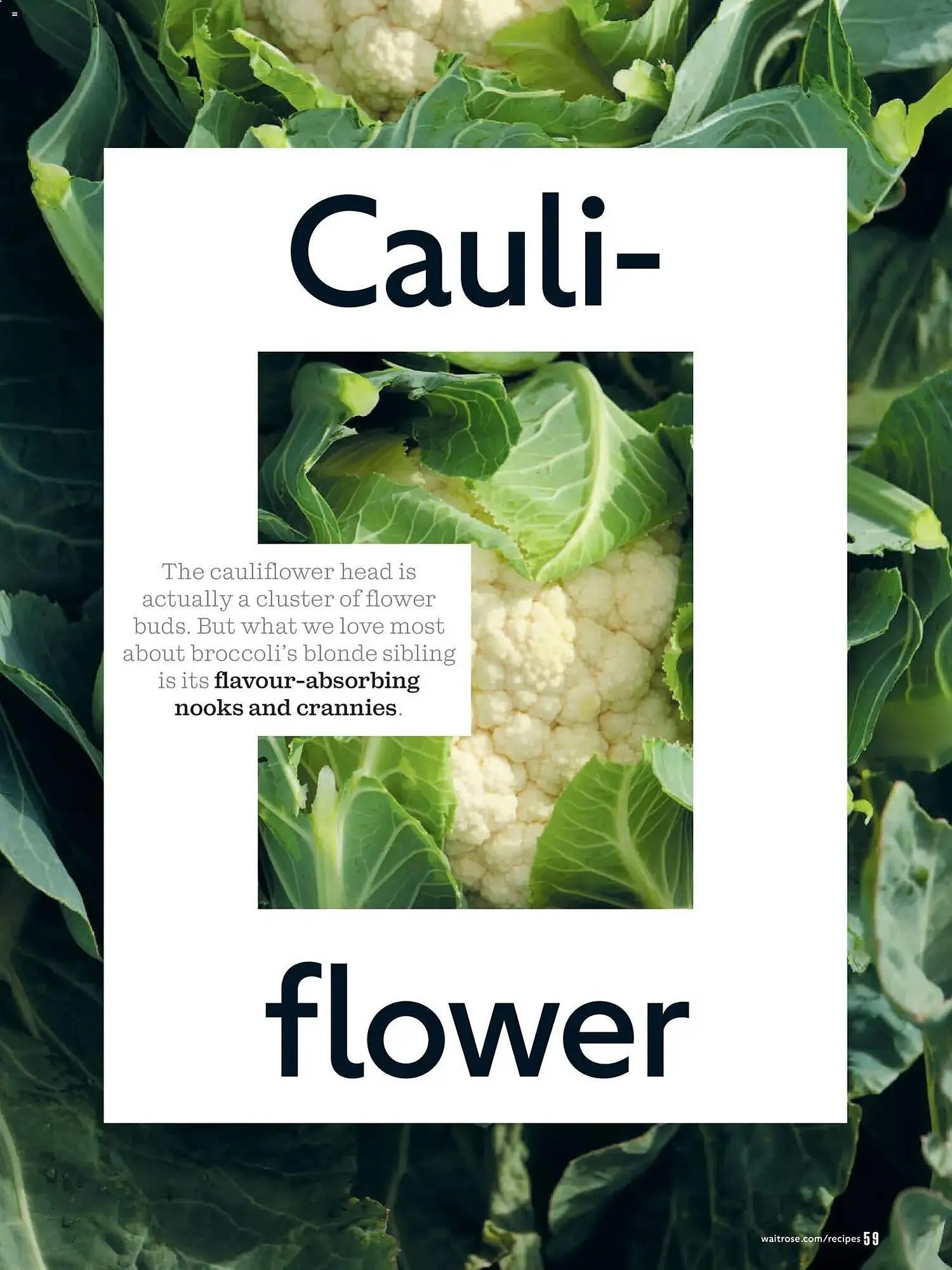 Waitrose catalogue from 1 February to 1 April 2026 - Catalogue Page 59