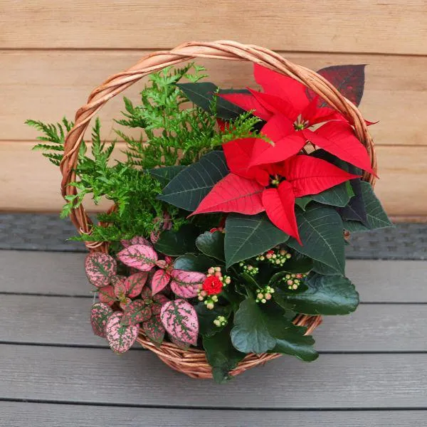 Indoors Winter Rustic Basket 25cm