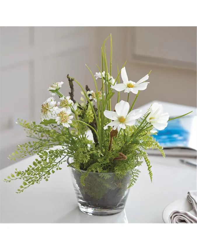 White Cosmos and Fern Garden