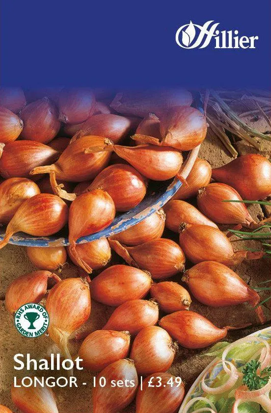 Longor Shallot Sets