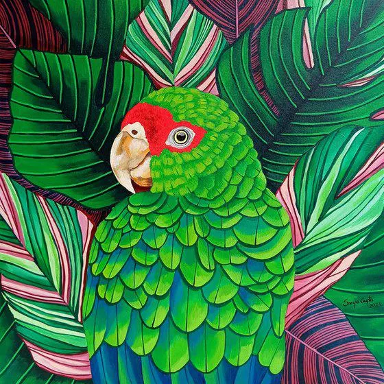 Call of the Vibrance II (2023)