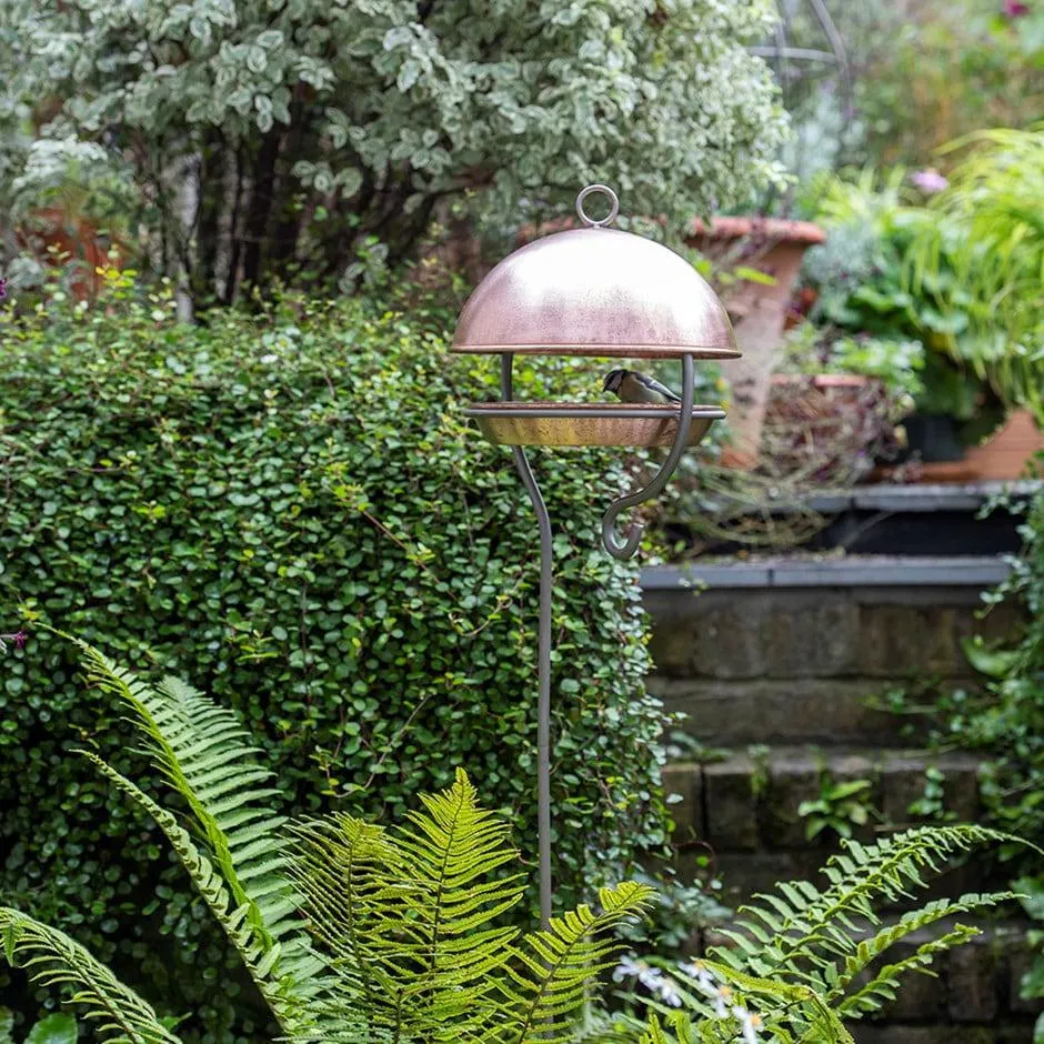 Brushed copper stake bird feeding dome