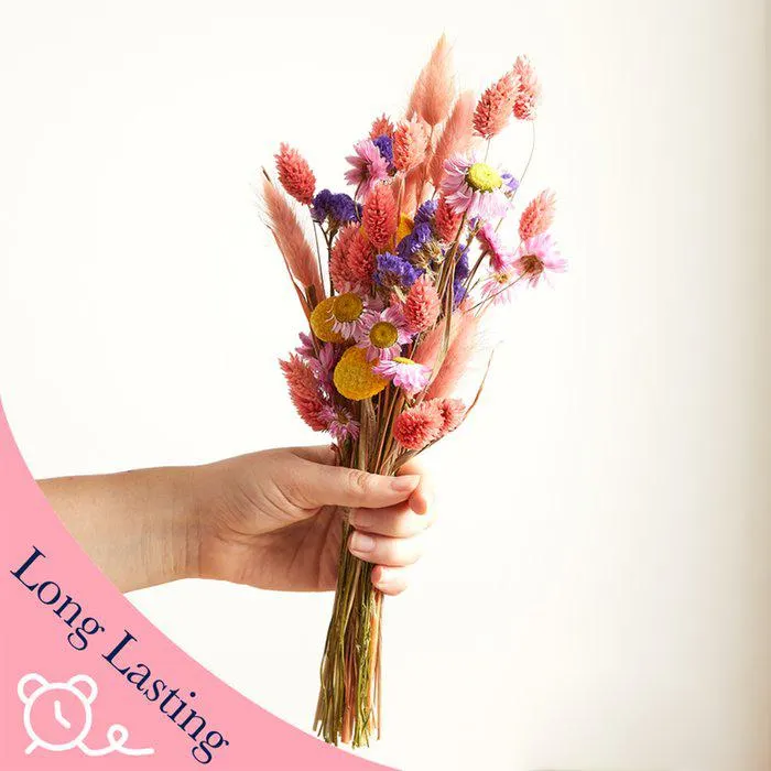 The Mini Dried Spring Sensation