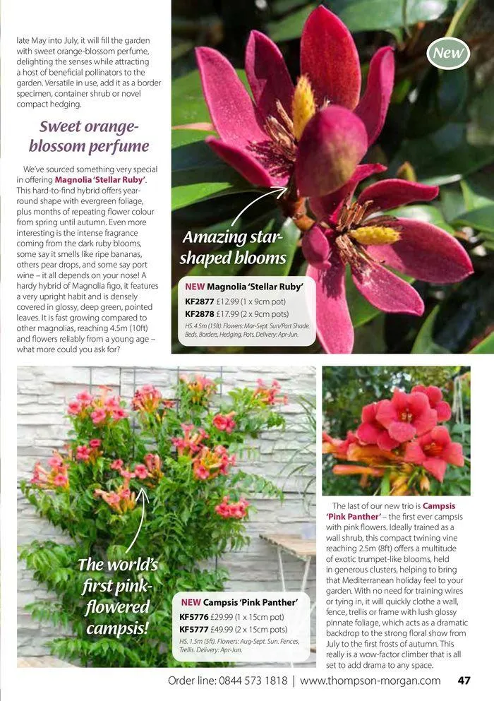 Spring Sale Catalogue from 2 May to 31 May 2024 - Catalogue Page 47