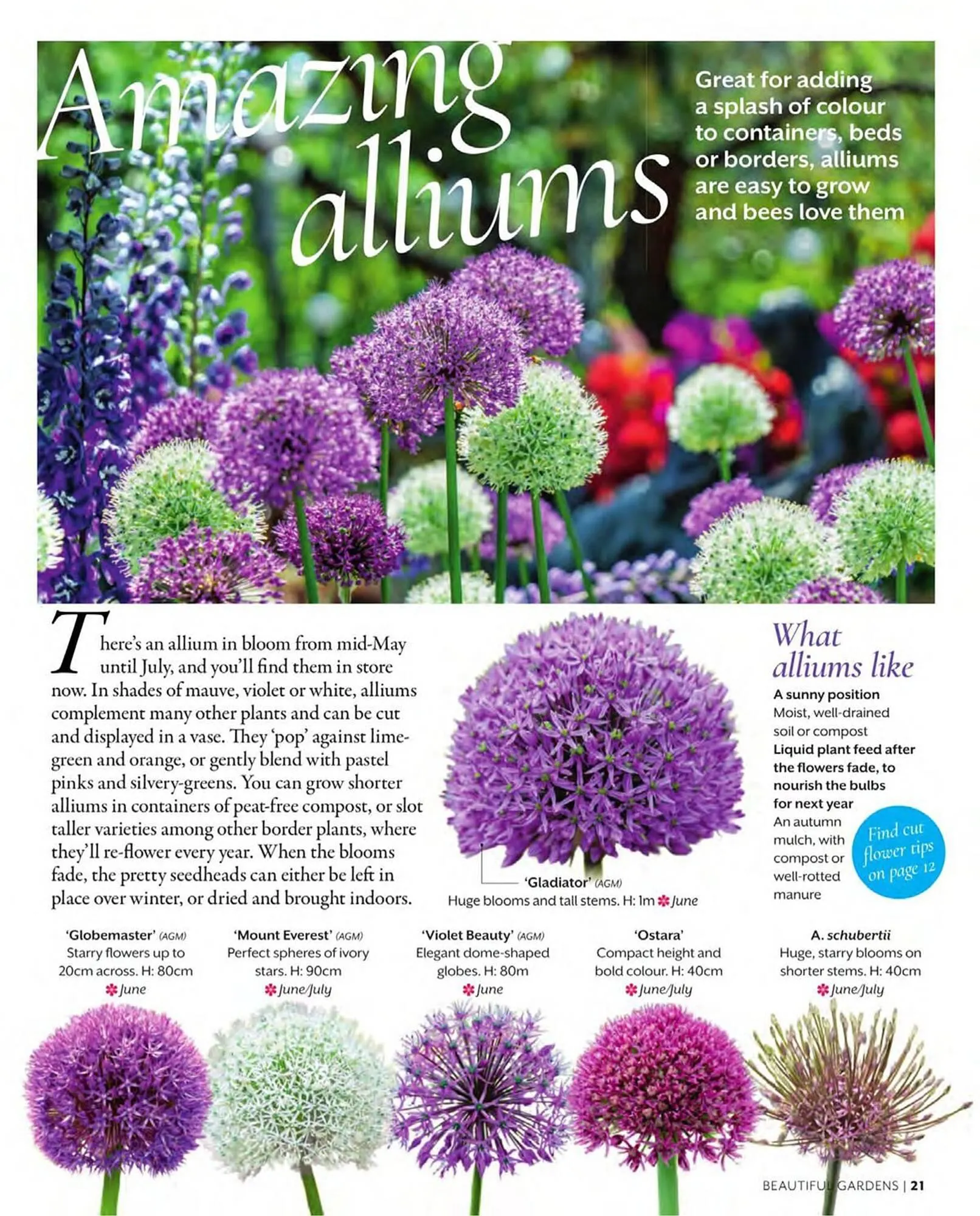 Squires Garden Centres leaflet from 1 March to 31 May 2024 - Catalogue Page 21