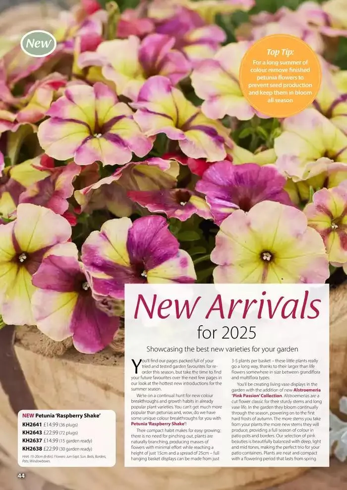 The Spring Catalogue from 20 March to 31 May 2025 - Catalogue Page 44