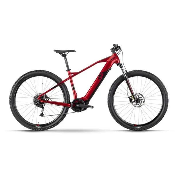 HardRay E 4.0 Electric Mountain Bike