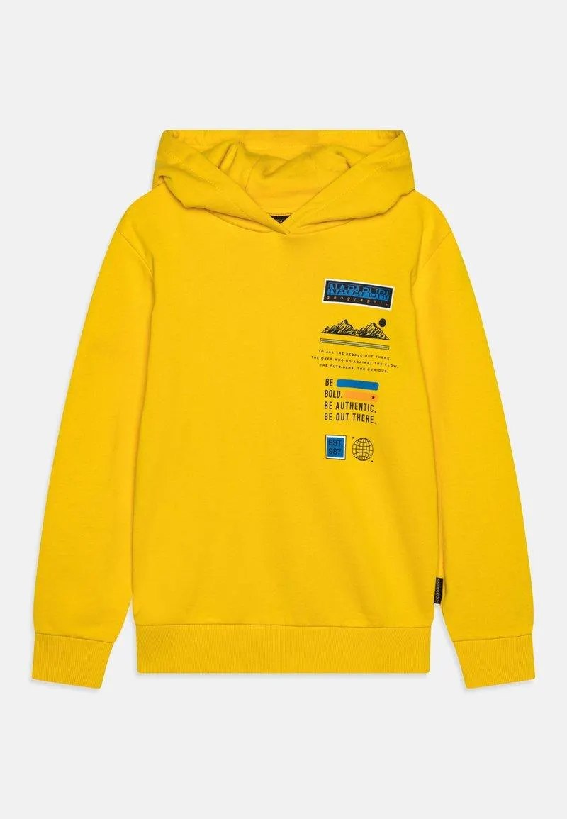 LIARD HOODIE - Hoodie