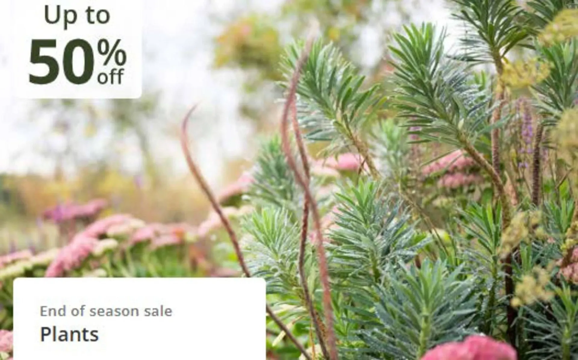 Crocus leaflet from 21 October to 10 November 2025 - Catalogue Page 1