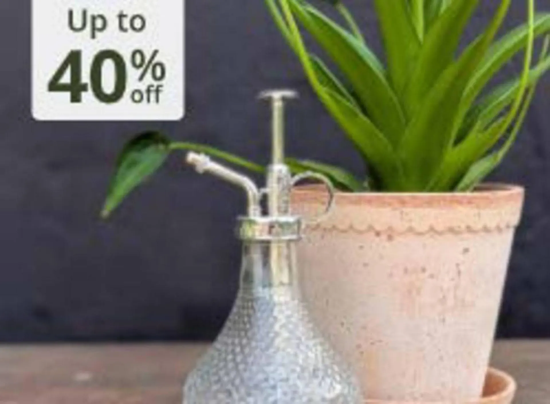 Crocus leaflet from 21 October to 10 November 2025 - Catalogue Page 3