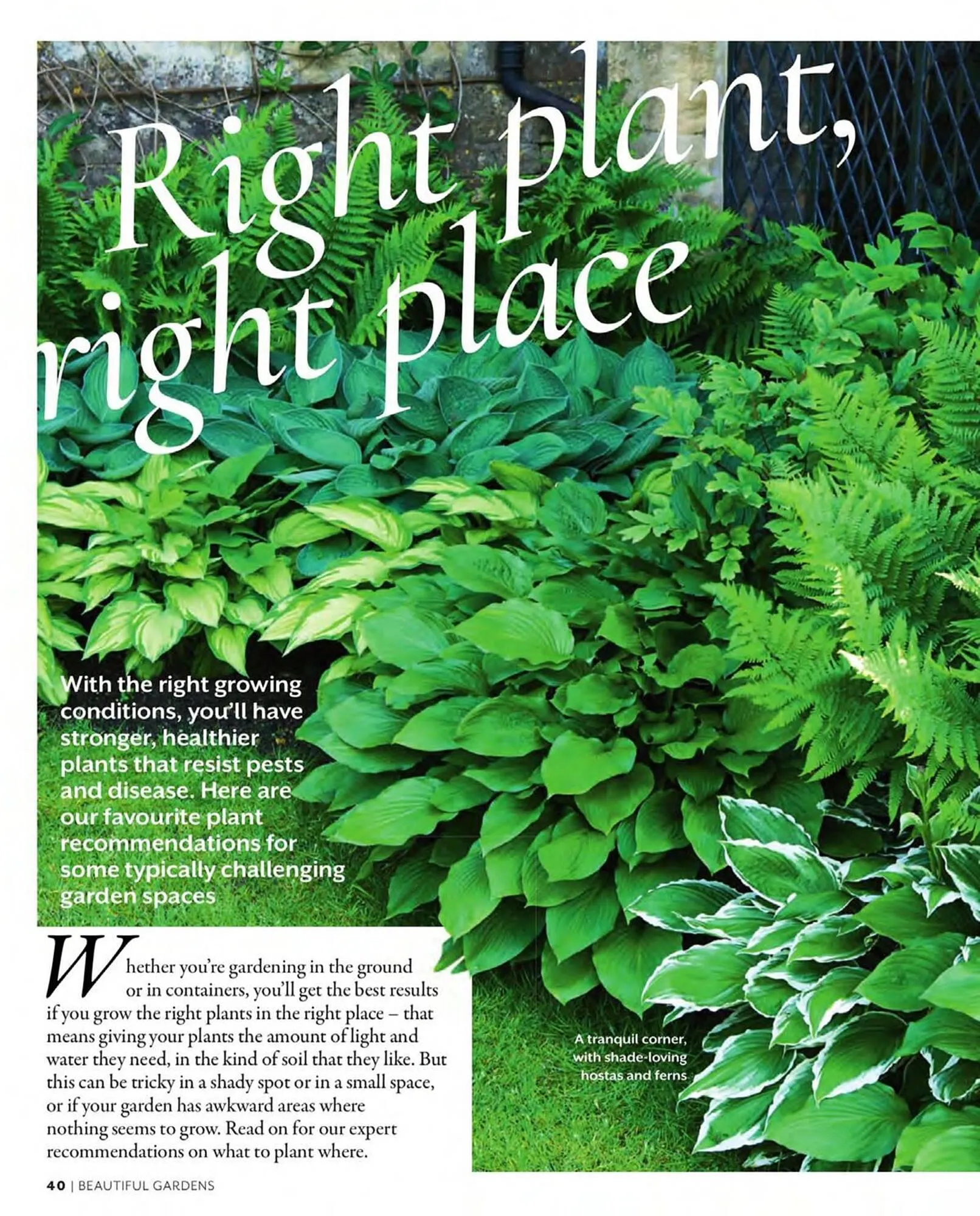 Squires Garden Centres leaflet from 1 March to 31 May 2024 - Catalogue Page 40