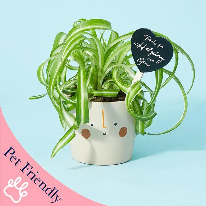 Helping Me Grow Cream Planter