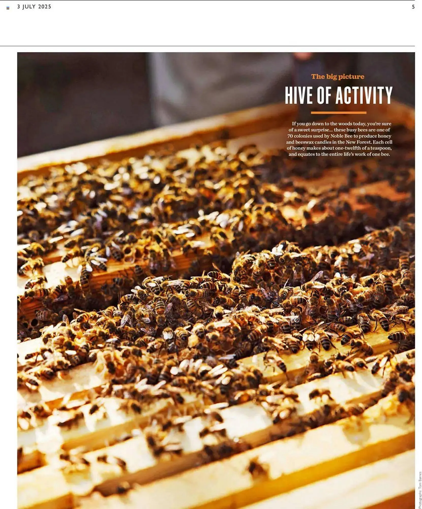 Waitrose leaflet from 3 July to 10 July 2025 - Catalogue Page 5