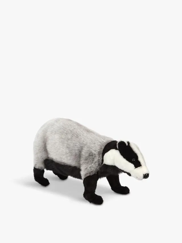 European Badger