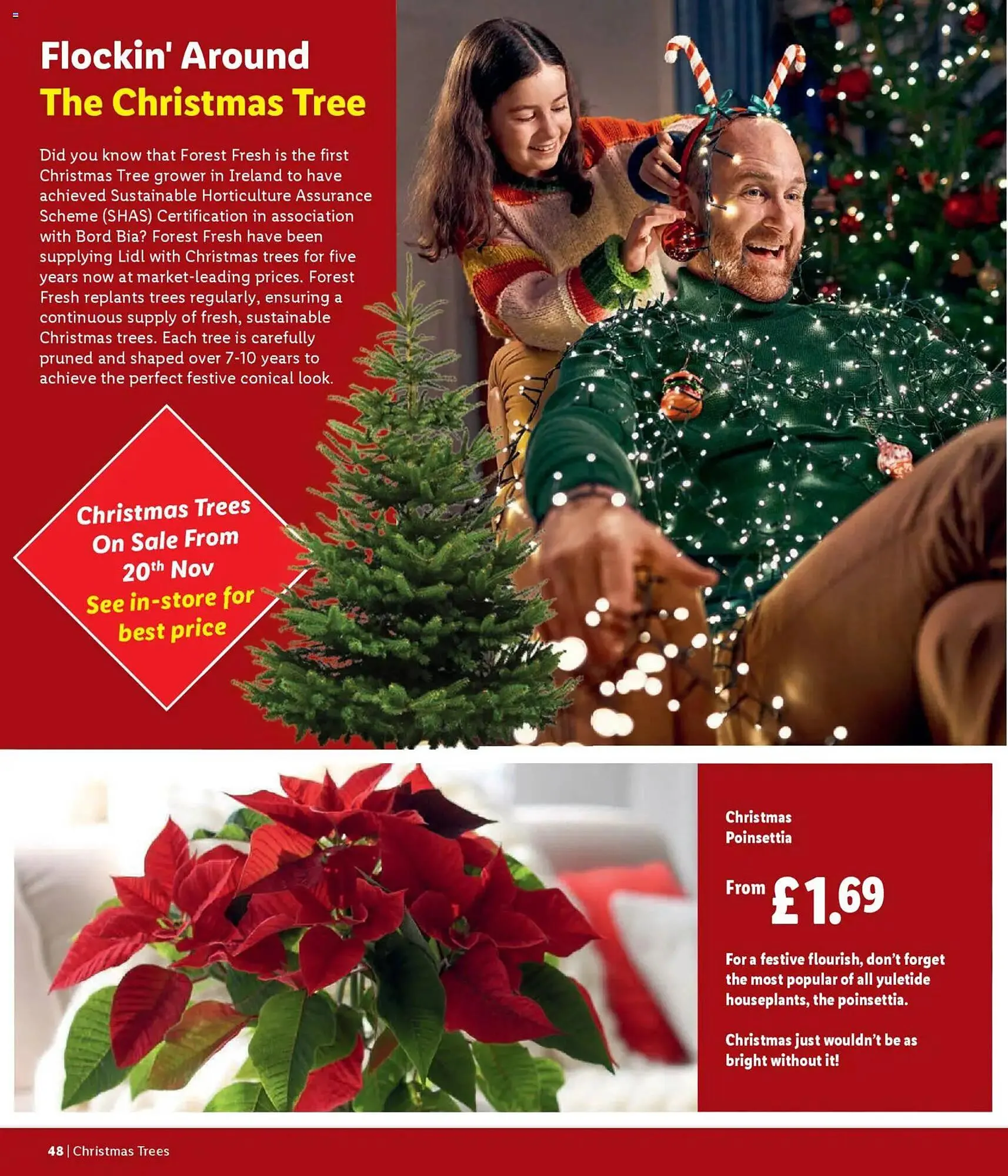 Lidl leaflet from 6 November to 31 December 2025 - Catalogue Page 48