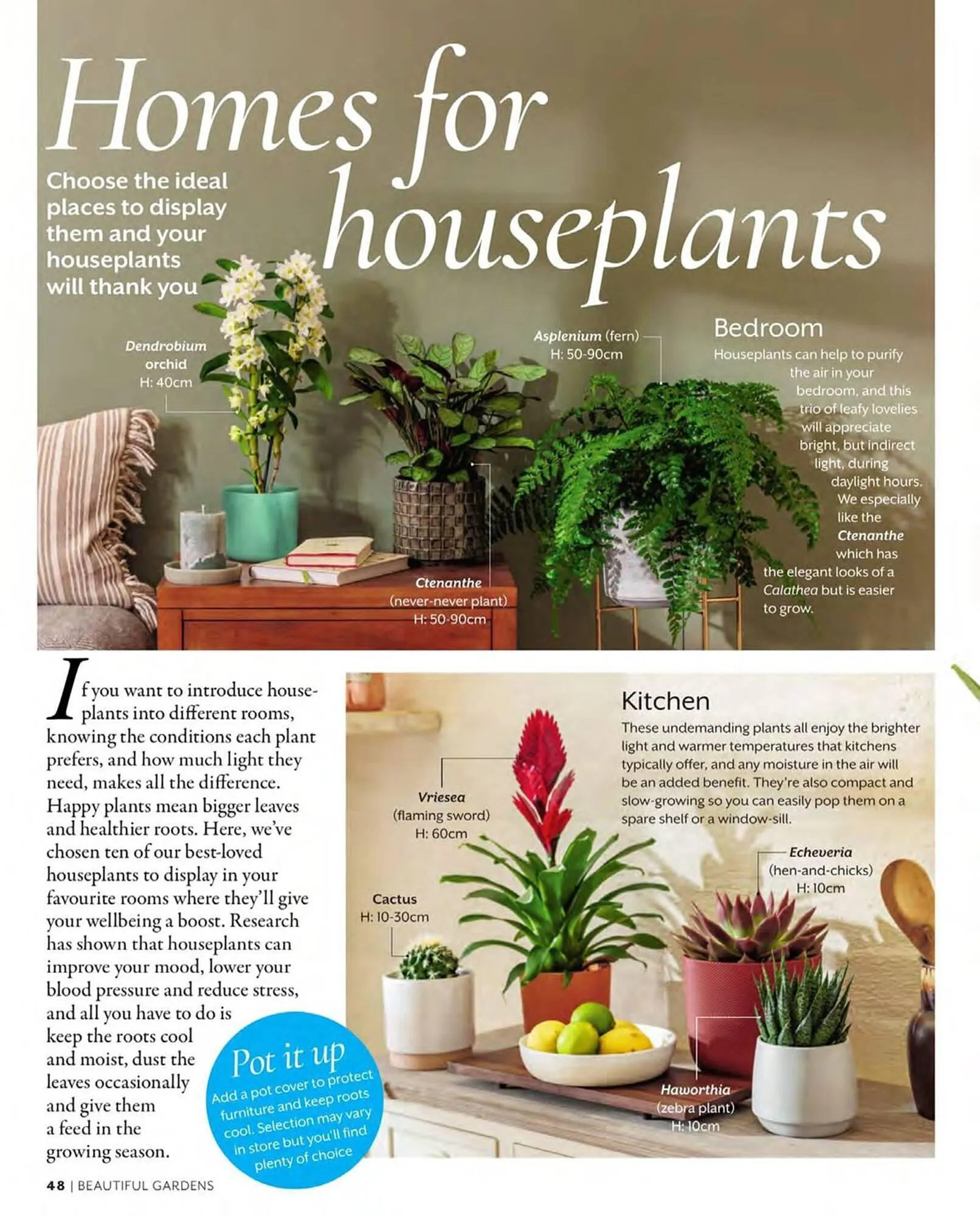 Squires Garden Centres leaflet from 1 March to 31 May 2024 - Catalogue Page 48