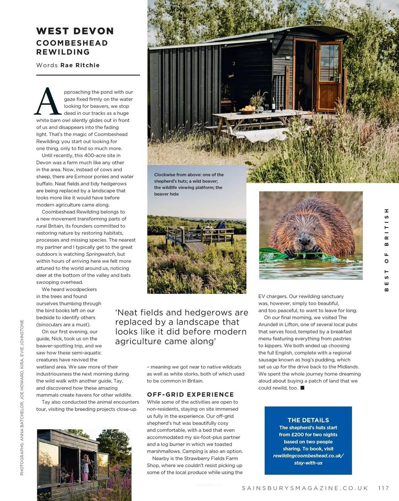 Sainsbury's leaflet from 1 March to 31 March 2026 - Catalogue Page 117