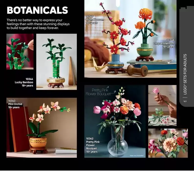 Lego Brand Catalog from 14 February to 30 June 2025 - Catalogue Page 165