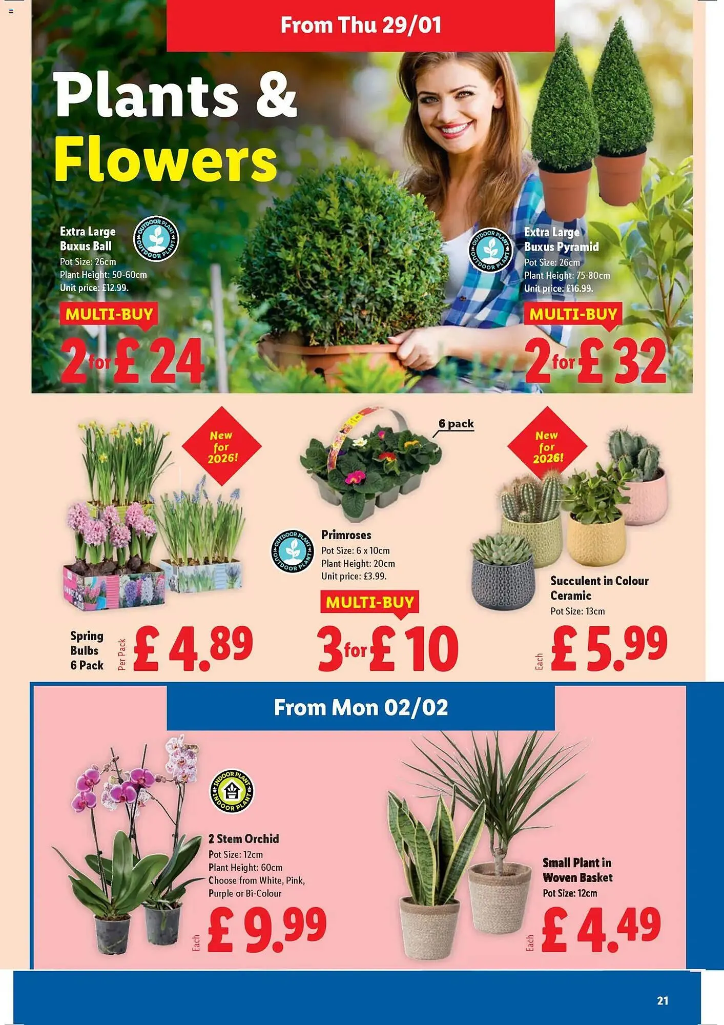 Lidl leaflet from 29 January to 4 February 2026 - Catalogue Page 21