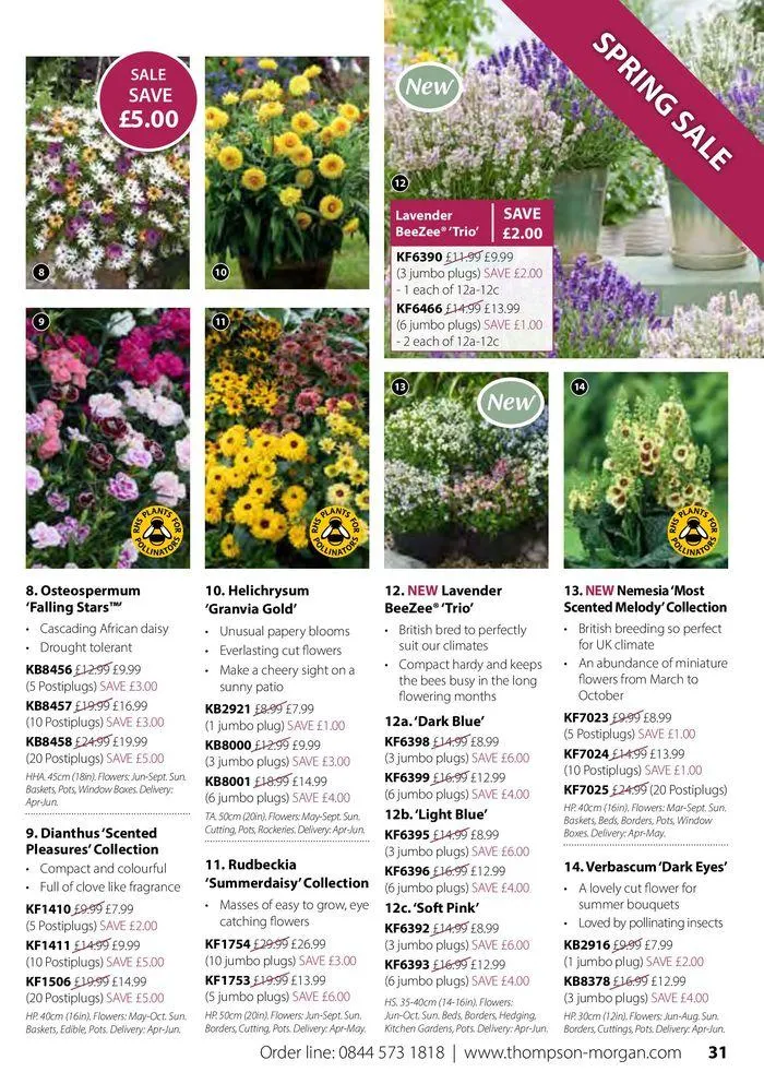 Spring Sale Catalogue from 2 May to 31 May 2024 - Catalogue Page 31