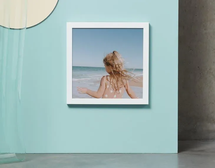 Framed Poster Prints