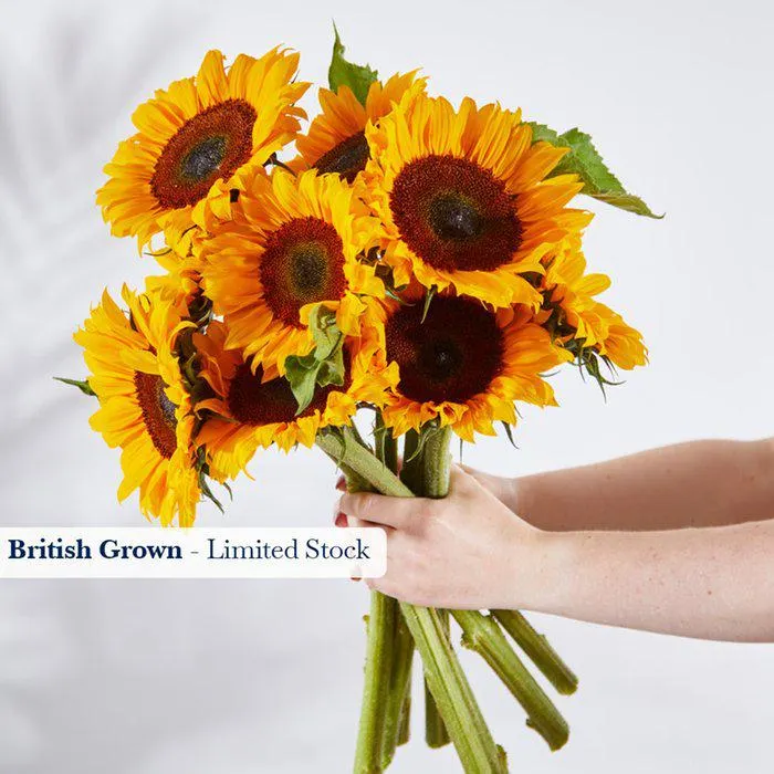The British Grown Sunflowers