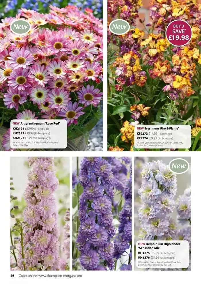 The Spring Catalogue from 20 March to 31 May 2025 - Catalogue Page 46