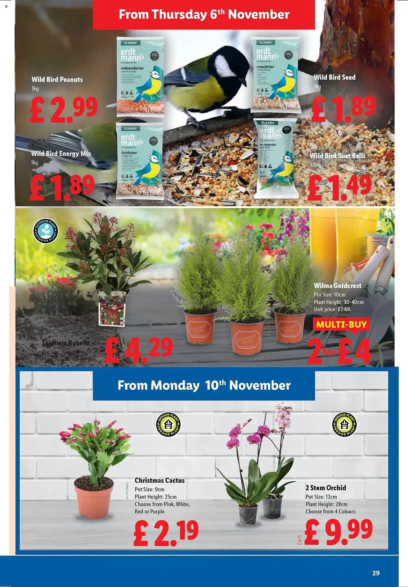 Lidl leaflet from 6 November to 12 November 2025 - Catalogue Page 29
