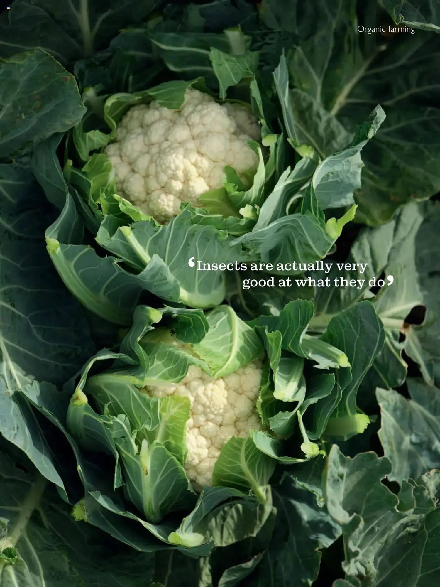 Waitrose catalogue from 1 October to 1 November 2025 - Catalogue Page 89