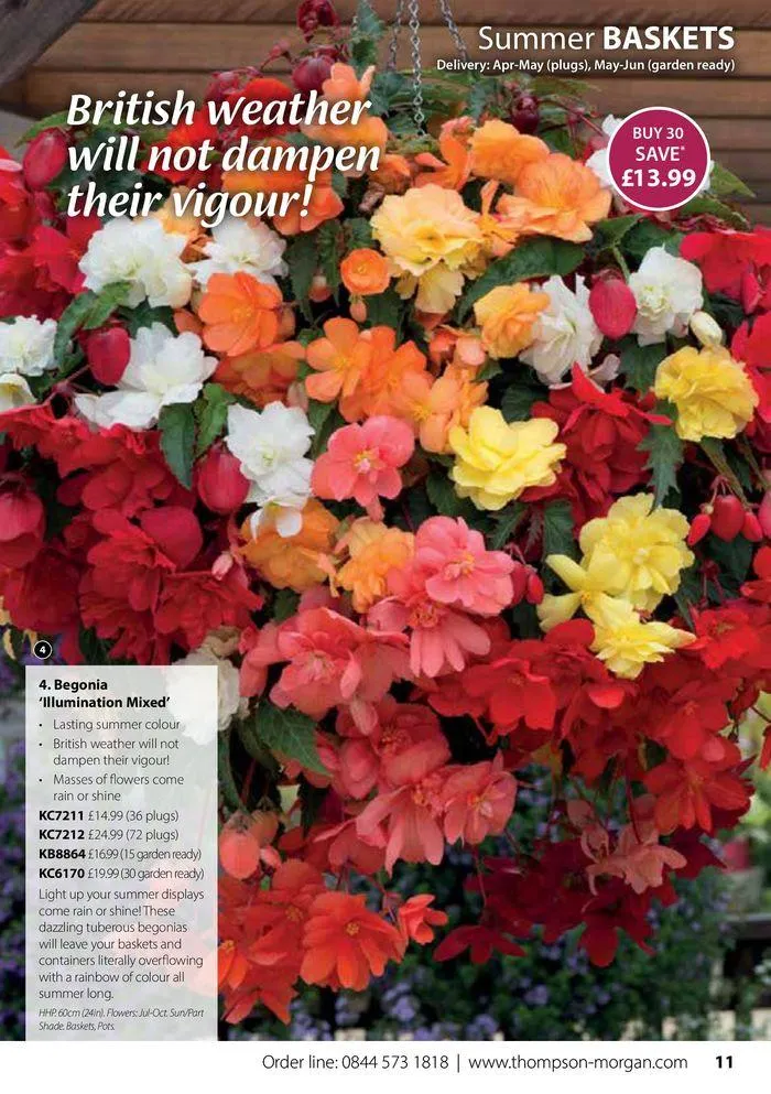 Spring Sale Catalogue from 2 May to 31 May 2024 - Catalogue Page 11