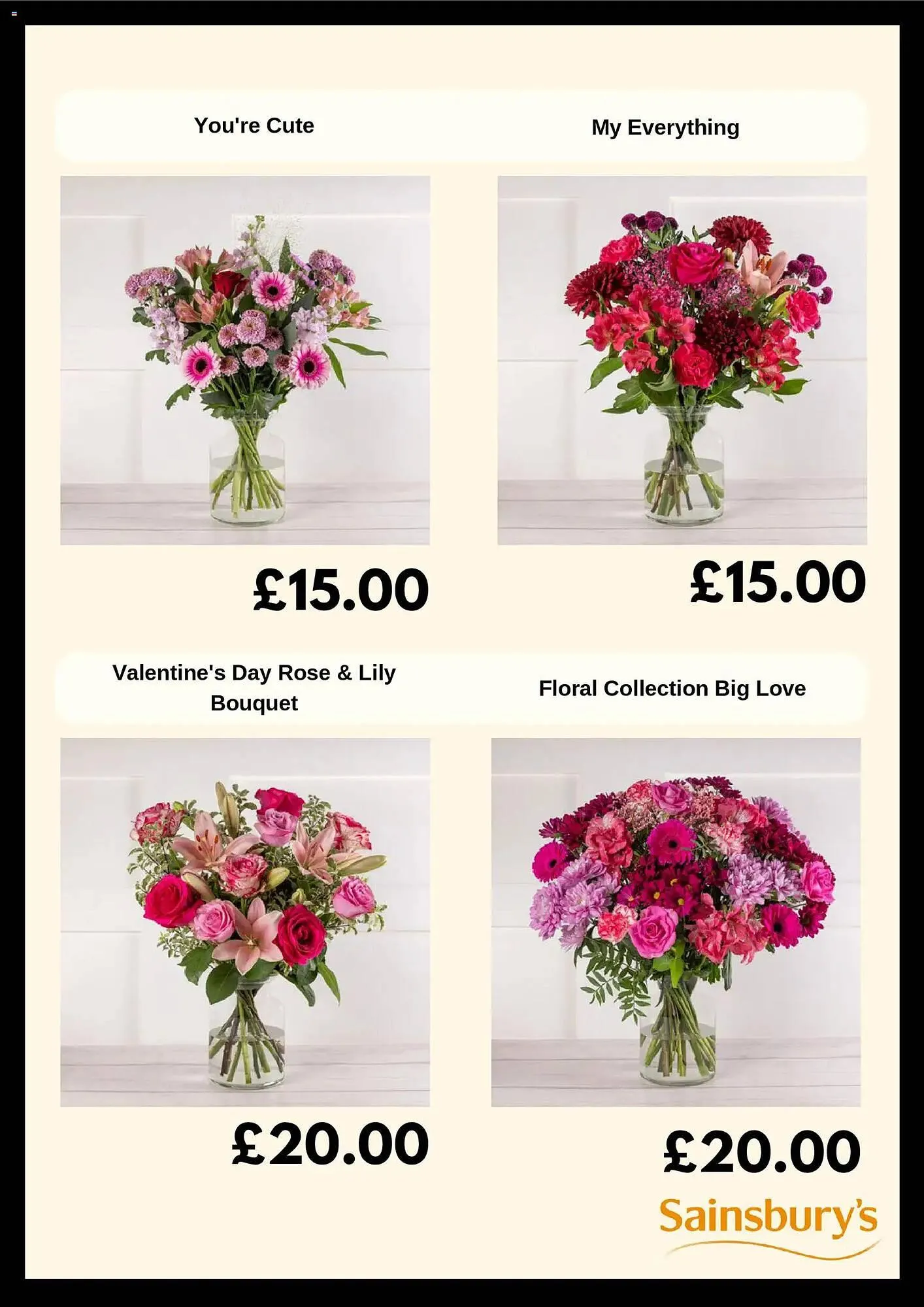 Sainsbury's leaflet from 27 January to 3 February 2026 - Catalogue Page 4