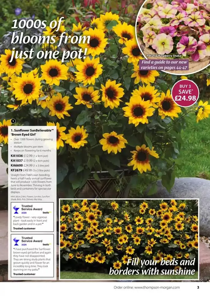 The Spring Catalogue from 20 March to 31 May 2025 - Catalogue Page 3