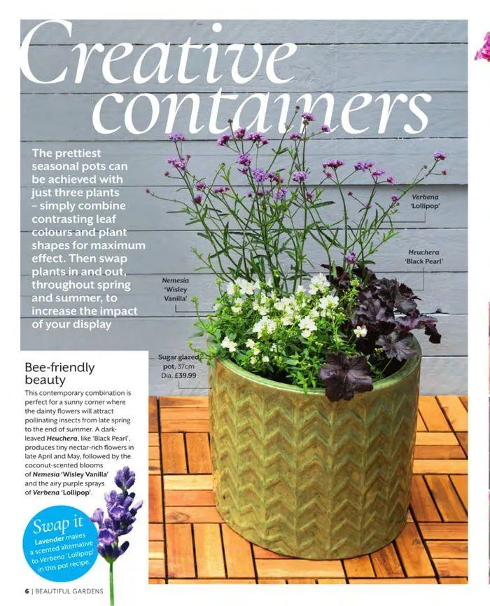 Spring 2024 from 11 March to 31 May 2024 - Catalogue Page 6