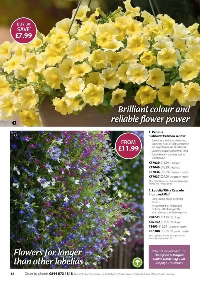 The Spring Catalogue from 20 March to 31 May 2025 - Catalogue Page 12