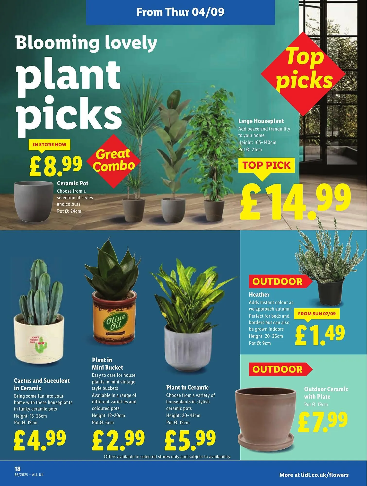 Lidl leaflet from 4 September to 10 September 2025 - Catalogue Page 22