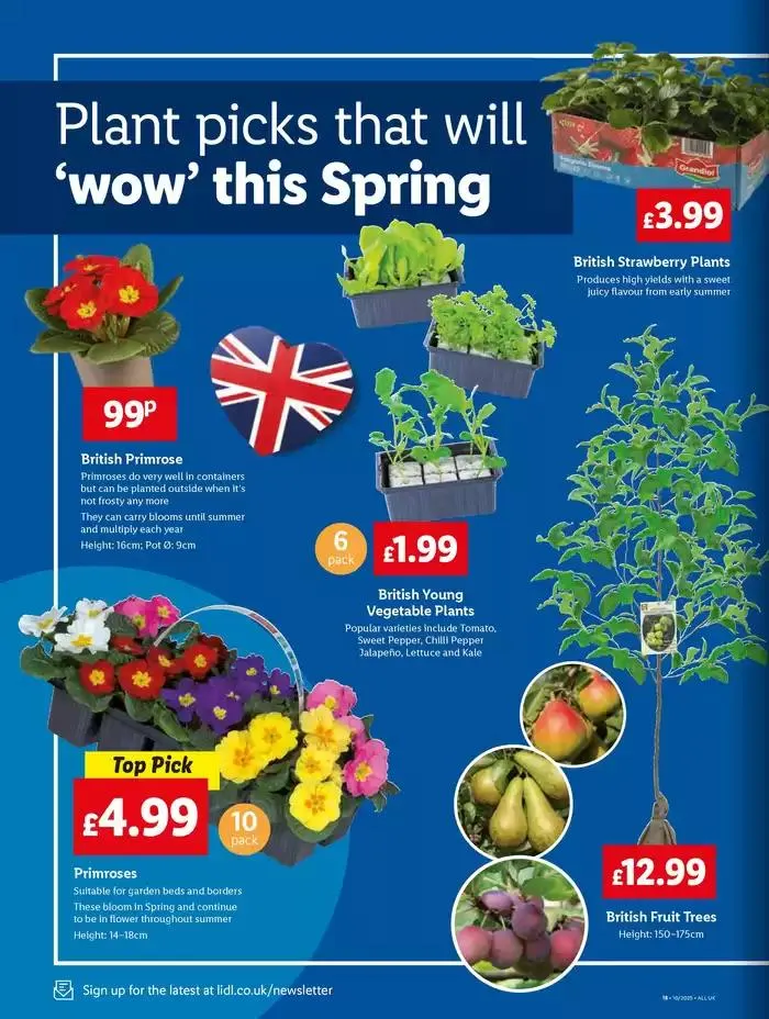 Current bargains and offers from 6 March to 12 March 2025 - Catalogue Page 18