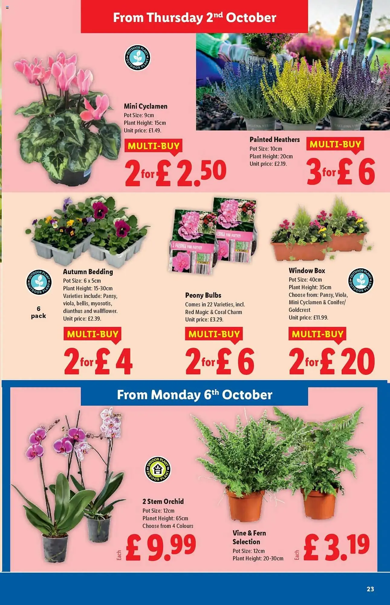 Lidl leaflet from 2 October to 8 October 2025 - Catalogue Page 23