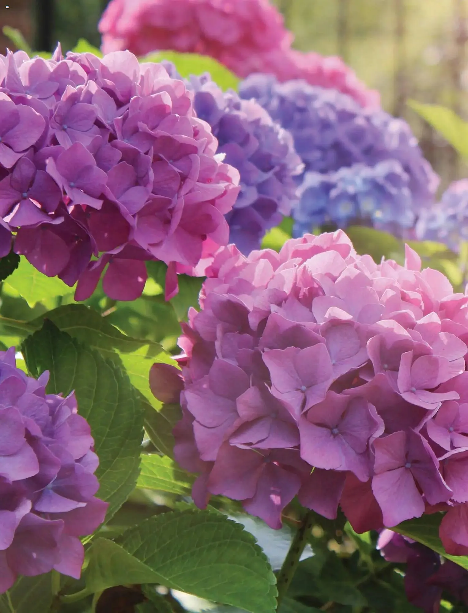 B&Q brochure from 23 February to 31 December 2026 - Catalogue Page 2