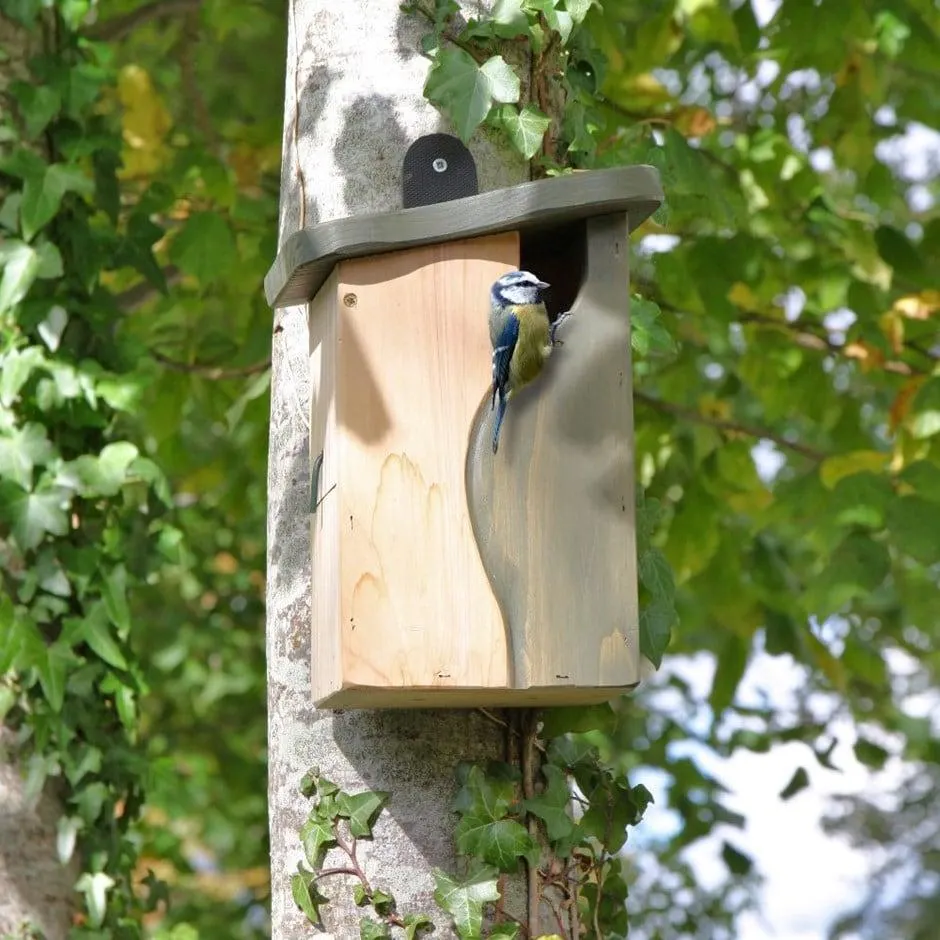 Curve cavity nest box