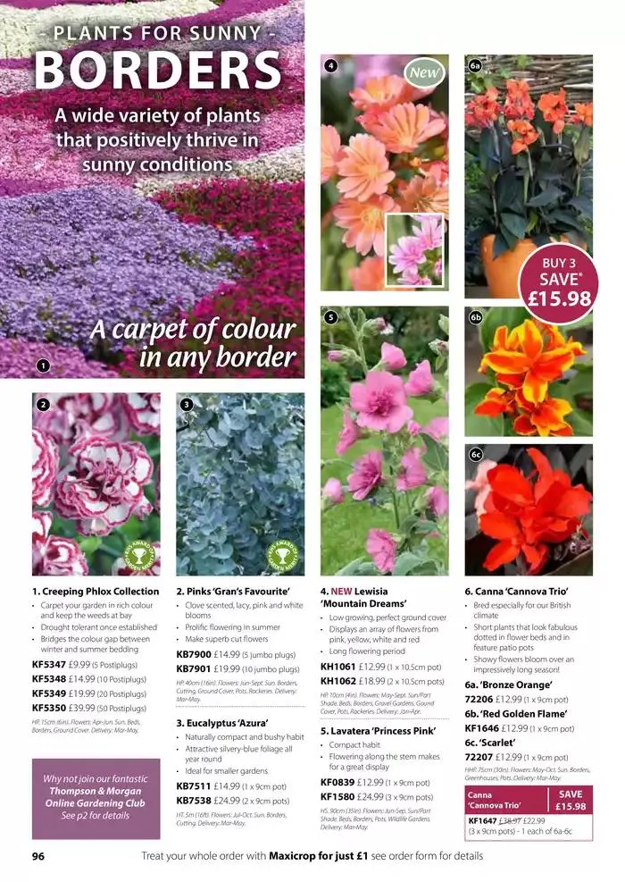 The Spring Catalogue from 20 March to 31 May 2025 - Catalogue Page 96