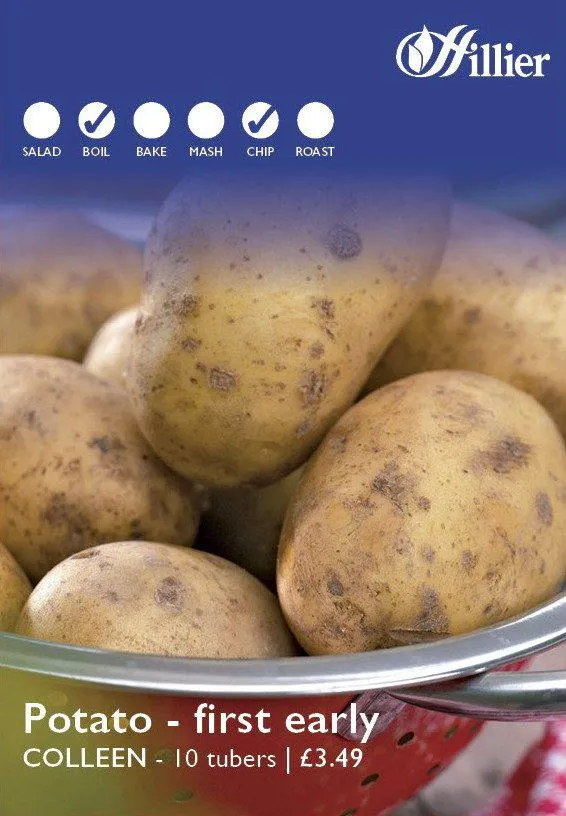 Colleen Seed Potatoes