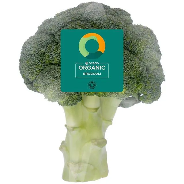 Ocado Organic Broccoli 300g