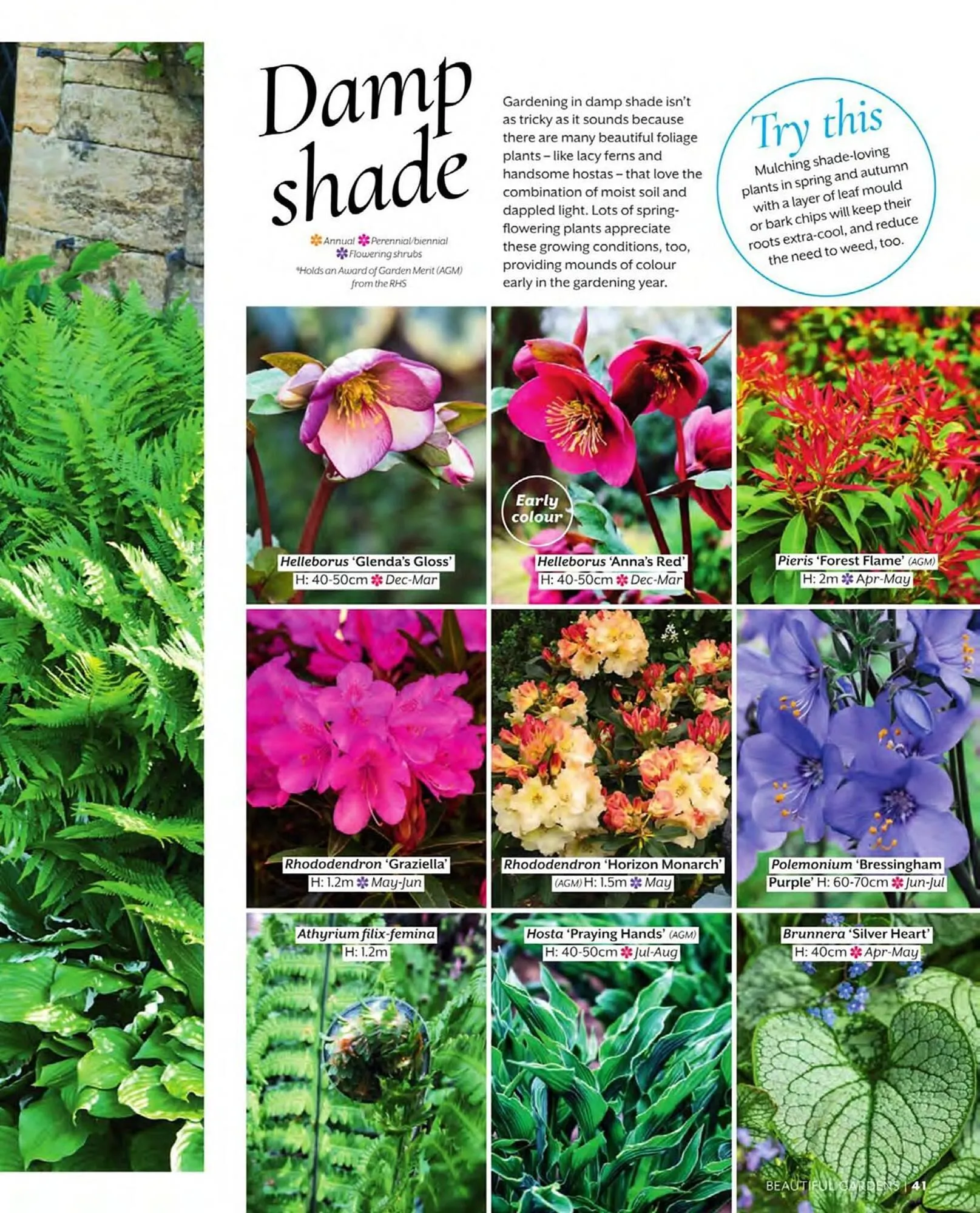 Squires Garden Centres leaflet from 1 March to 31 May 2024 - Catalogue Page 41